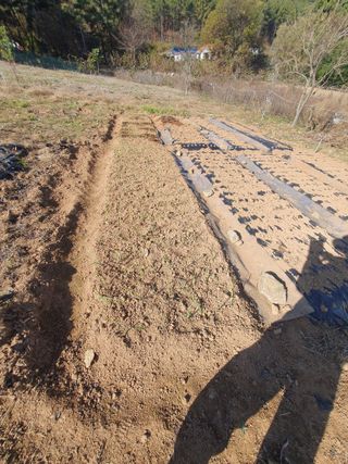 두릅나무10495님의 농업 경영체 등록 기준, 강화 vs 완화 · 참여글 작성글 사진