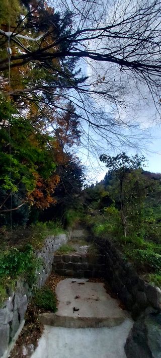 안재성님의 자유주제 · 사진전 작성글 사진