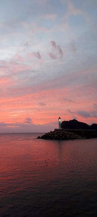 안재성님의 자유주제 · 사진전 작성글 사진