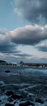 팜모닝 자유주제·사진전 게시글 이미지