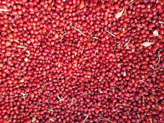 노경자님의 농업 경영체 등록 기준, 강화 vs 완화 · 참여글 작성글 사진