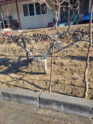 김용대님의 자유주제 · 자유게시판 작성글 사진