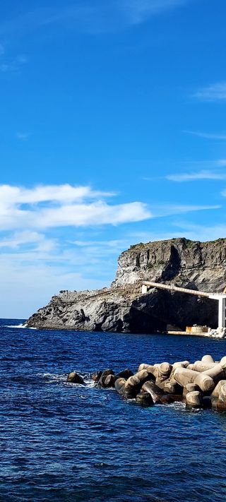 안재성님의 자유주제 · 사진전 작성글 사진