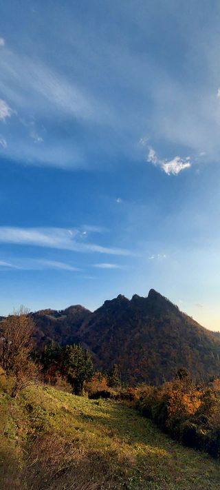 안재성님의 자유주제 · 사진전 작성글 사진