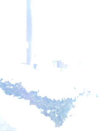 최유진님의 자유주제 · 자유게시판 작성글 사진