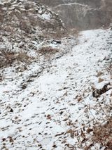 팜모닝 농업 경영체 등록 기준, 강화 vs 완화·참여글 게시글 이미지