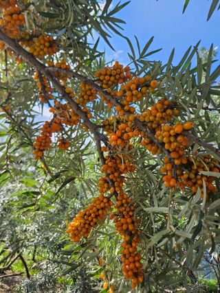 김시헌 님의 작성글 사진