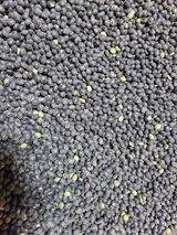 팜모닝 농업 경영체 등록 기준, 강화 vs 완화·참여글 게시글 이미지