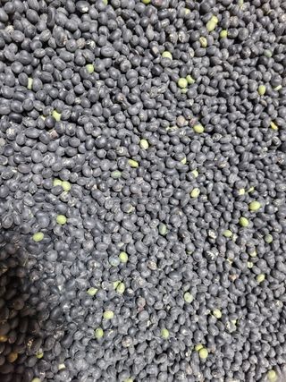 노경자님의 농업 경영체 등록 기준, 강화 vs 완화 · 참여글 작성글 사진