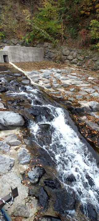 안재성님의 자유주제 · 사진전 작성글 사진
