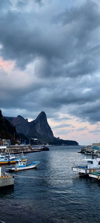 안재성님의 자유주제 · 사진전 작성글 사진