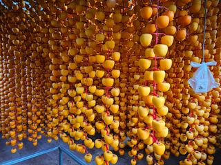 성범현님의 2025년, 농사계획은 어떻게 되시나요? · 참여글 작성글 사진