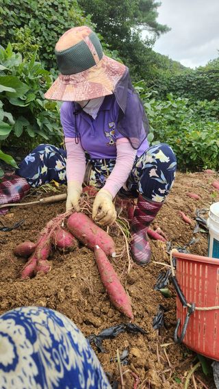 사과6329님의 2025년, 농사계획은 어떻게 되시나요? · 참여글 작성글 사진