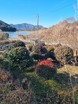 팜모닝 자유주제·자유게시판 게시글 이미지