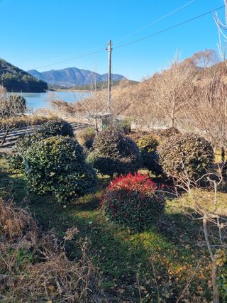 양영모님의 자유주제 · 자유게시판 작성글 사진