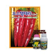 팜모닝 · 게시글 이미지