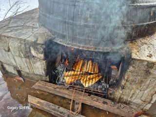 음두임님의 자유주제 · 자유게시판 작성글 사진