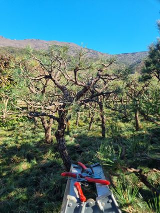 양영모님의 자유주제 · 자유게시판 작성글 사진