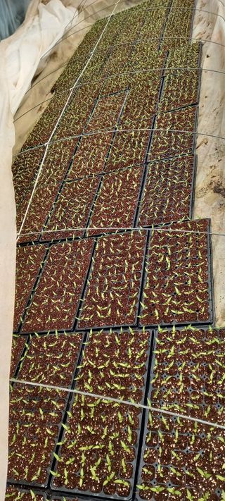 강성분님의 2025년, 농사계획은 어떻게 되시나요? · 참여글 작성글 사진