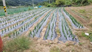 정수식님의 농업 경영체 등록 기준, 강화 vs 완화 · 참여글 작성글 사진