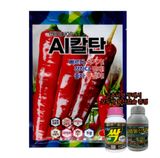 팜모닝 · 게시글 이미지