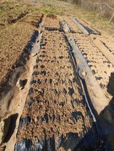 팜모닝 농업 경영체 등록 기준, 강화 vs 완화·참여글 게시글 이미지