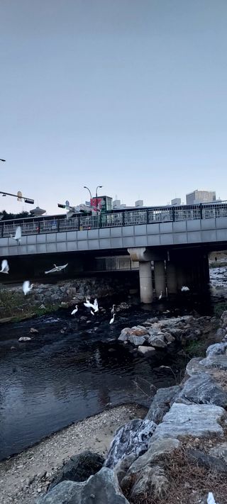 안재성님의 자유주제 · 사진전 작성글 사진