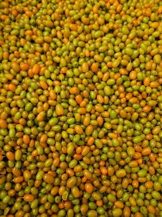 김시헌 님의 작성글 사진