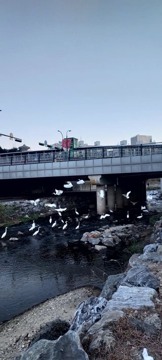 안재성님의 자유주제 · 사진전 작성글 사진