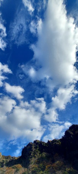 안재성님의 자유주제 · 사진전 작성글 사진