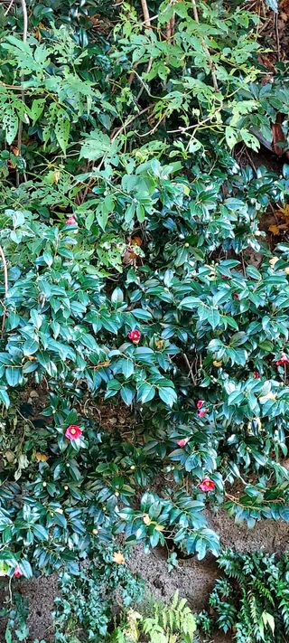 안재성님의 자유주제 · 사진전 작성글 사진