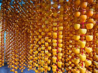 성범현님의 2025년, 농사계획은 어떻게 되시나요? · 참여글 작성글 사진