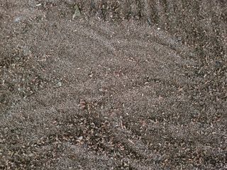 노경자님의 농업 경영체 등록 기준, 강화 vs 완화 · 참여글 작성글 사진