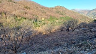 이순기님의 2025년, 농사계획은 어떻게 되시나요? · 참여글 작성글 사진