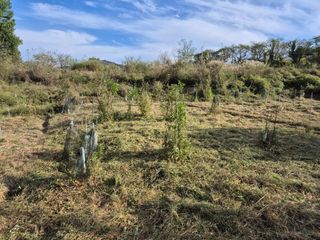 왕대추님의 농업 경영체 등록 기준, 강화 vs 완화 · 참여글 작성글 사진