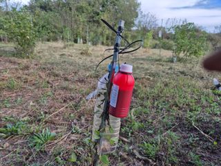 왕대추님의 농업 경영체 등록 기준, 강화 vs 완화 · 참여글 작성글 사진