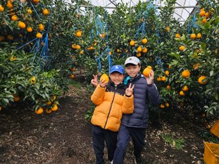 강중영님의 작성글 사진