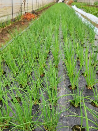 갑돌이님의 자유주제 · 자유게시판 작성글 사진