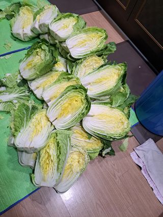 정자형님의 2025년, 농사계획은 어떻게 되시나요? · 참여글 작성글 사진