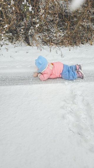 태일농산이정수님의 자유주제 · 자유게시판 작성글 사진