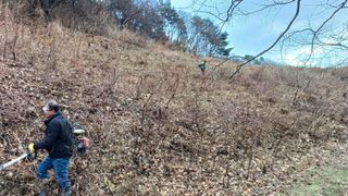 이순기님의 2025년, 농사계획은 어떻게 되시나요? · 참여글 작성글 사진