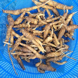 이창화님의 자유주제 · 자유게시판 작성글 사진