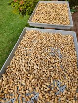 모니카님의 2025년, 농사계획은 어떻게 되시나요?·참여글 작성글 사진