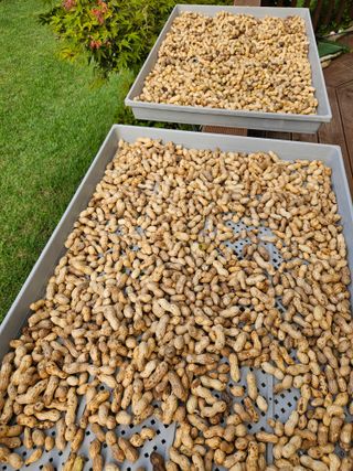 모니카님의 2025년, 농사계획은 어떻게 되시나요? · 참여글 작성글 사진