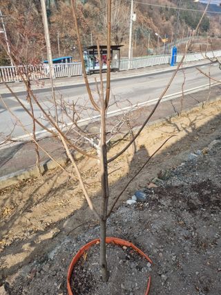 김용대님의 자유주제 · 자유게시판 작성글 사진