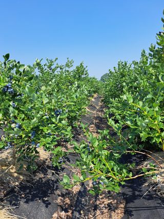 이재국님의 자유주제 · 자유게시판 작성글 사진