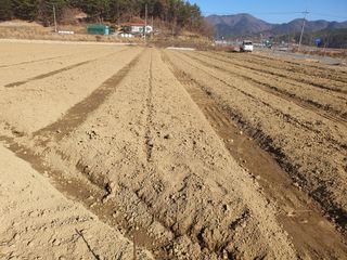 노력하는농민천영구님의 2025년, 농사계획은 어떻게 되시나요? · 참여글 작성글 사진