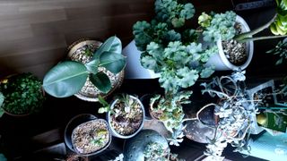 권세민님의 자유주제 · 자유게시판 작성글 사진