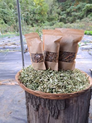 호박16308님의 2025년, 농사계획은 어떻게 되시나요? · 참여글 작성글 사진