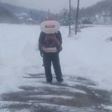 팜모닝 자유주제·자유게시판 게시글 이미지